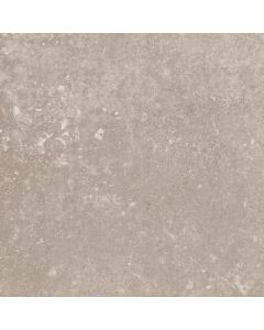 Sphinx Earth 99,8x99,8cm Bruin mat EE34201