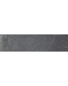 Sphinx Stone 29,8x119,8cm Zwart Mat (TC41201)