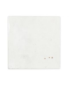 CeraVision Enamel Wit 12,5x12,5cm (Enamel Square White Ceravision)