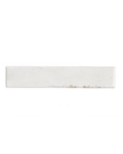 CeraVision Enamel Wit 5x25cm (Enamel White Ceravision)