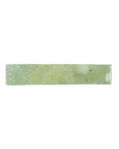 CeraVision Enamel Groen 5x25cm (Enamel Moss Ceravision)