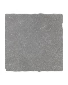 CeraVision Pierre Belge Grijs 30x30cm (Pierre Belge Gris 18,4% Ceravision)