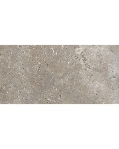 Dom Ascot Signature Stone Grijs 60x120cm (Signature Stone Dark)