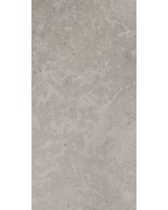 CeraVision Timeless Grijs 30x60cm (Timeless Dark Ceravision)