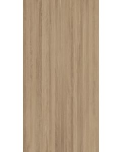 Magica Wald Boiserie Acero 60X120 10mm
