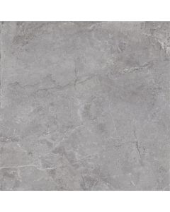 Dutch Design Evolution Grey 100X100cm Mat