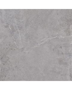 Dutch Design Evolution Grey 60X60cm Mat