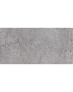 Dutch Design Evolution Grey 30X60cm Mat