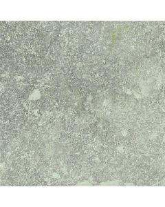 Castelvetro Always Grigio 100X100cm Mat