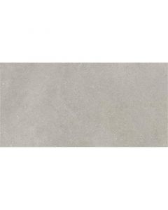 Valsecchia Capital Silver 30X60cm Mat