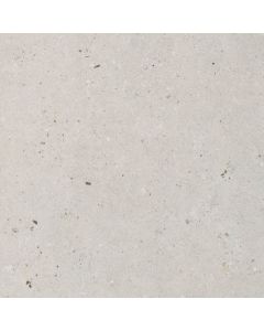 Italgraniti Silver grain SI0368 Vloertegel 60X60cm Grey 9mm Mat Ret.