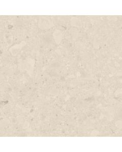 Beste Koop Flodsten 36325 Vloertegel 60X60cm Artic 9mm Mat Ret.R10