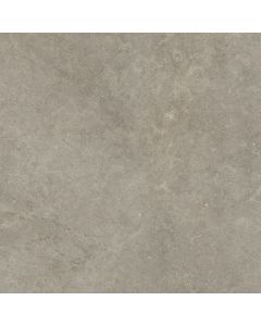 Ragno Richmond RAFD Vloertegel 100X100cm Musk 8,5mm Mat Ret.R10