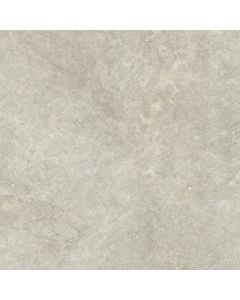 Ragno Richmond RCDT Vloertegel 60X60cm Taupe 8,5mm Mat Ret.R10