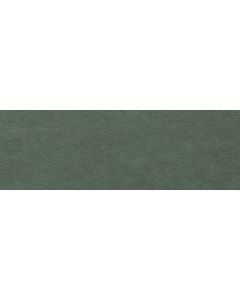 Gambini Devotion Groen 30x90cm (Devotion Jackie)