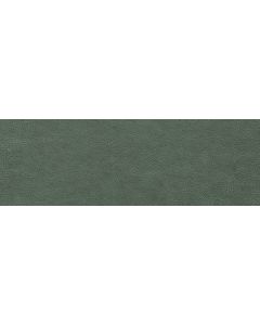 CeraVision Devotion Groen 30x90cm (Devotion Jackie Ceravision)