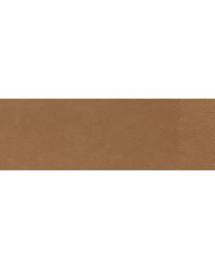 CeraVision Devotion Oranje 30x90cm (Devotion Kelly Ceravision)
