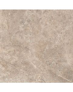 CeraVision Landstone Taupe 100x100cm (Landstone Taupe Ceravision)