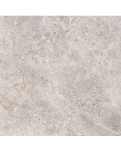 CeraVision Landstone Grijs 100x100cm (Landstone Gravel Ceravision)