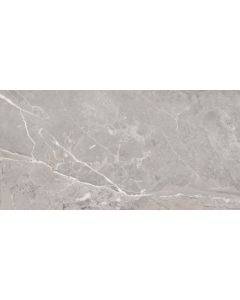 Saloni Toscana Grijs 60x120cm (Toscana Gris Mat)