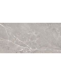 CeraVision Toscana Grijs 60x120cm (Toscana Gris Mat Ceravision)