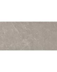 Ceramic-Apolo Piazen R3659R Wandtegel 29,5X59,2cm Ash 8,5mm Mat Ret.
