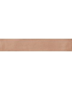 Ragno Amuri RC8R Vloertegel 5,3X30cm Cotto 10Mm Mat R9