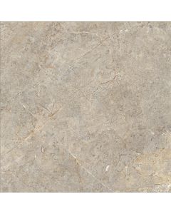 Cercom Everstone 1089328 Vloertegel 100X100cm Everbrown 8,5mm Mat Ret.R10
