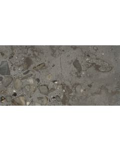 Douglas Jones Tinct Vloertegel 30X60cm Sassi Antracite pol-Mat 9mm Ret.