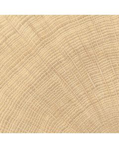 vtwonen Tegels Woodcirkle 10x10cm Oak Enjd