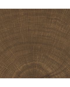 vtwonen Tegels Woodcirkle 10x10cm Wenge Enjf