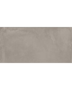 Imola Azuma 60x120cm Silver 170665