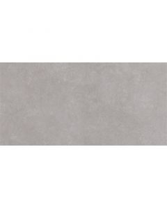 Argenta Tanum Ceniza 30X60cm Mat