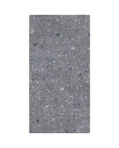 Energieker Ceppo Di Gré Anthracite 30X60cm Mat
