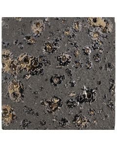 Aquacolor Lava 9,8x9,8cm Zwart (ACN6AD1010)