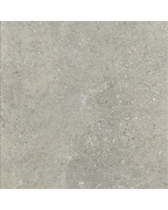 Ariostea Astra 100x100cm Grijs mat P100656