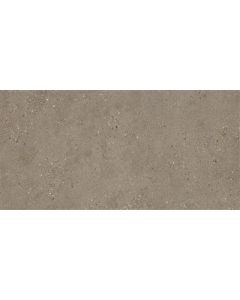 SINTESI Frammenti Bruin 30x60cm (Frammenti Terra Ceravision)