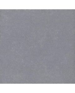 La Fenice Bluestone 61x61cm Grijs Mat (06KI070)