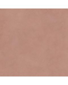 Flaviker Palette 60x60x0,9cm Rood mat 0016454
