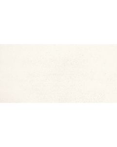 Gigacer Inclusioni 60x120cm Wit Mat (12INCL60120BIAPERMAT)
