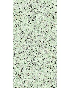 Energieker Medley terrazzo Leaf 60x120 rett