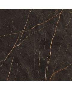 Energieker Saint Laurent polished 120x120 rett