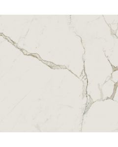 Atlas Concorde Solution Exigo Calacatta gepolijst 60x60 rett