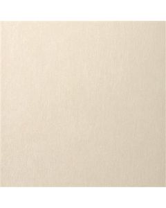Recer Infinity Pearl PAV. 33x33