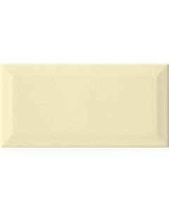 Steenbok Metro Klassiek wit Glans 10x20