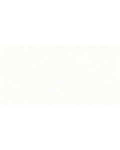 Recer Infinity White REV. 31x61
