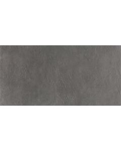 Ecoceramic Newton Graphite Natural 30x60 (R)