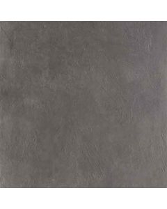Ecoceramic Newton Graphite Natural 60x60 (R)