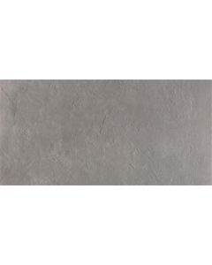 Ecoceramic Newton Silver Natural 60x120 (R)
