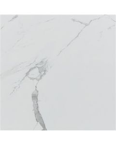 Ecoceramic Luxe Grayish Polished 120x120 (R)